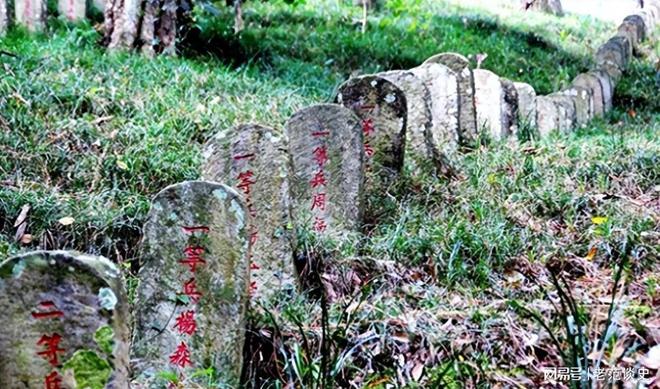 墓推平对英美盟军陵园保护有加忘恩负义的国家将我国4万烈士(图13)